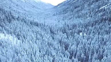 4K航拍唯美雪景松树白雪弥漫银装素裹雪山视频的预览图